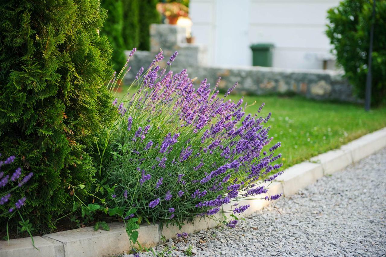 Lake House Sand Ohrid Ngoại thất bức ảnh